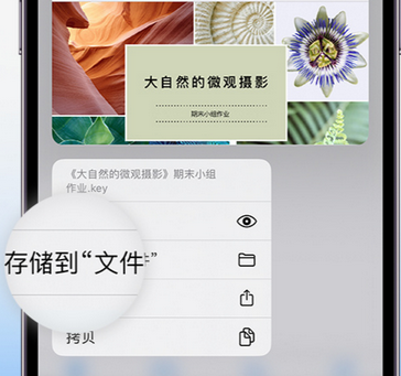 海珠apple维修中心分享iPhone文件应用中存储和找到下载文件