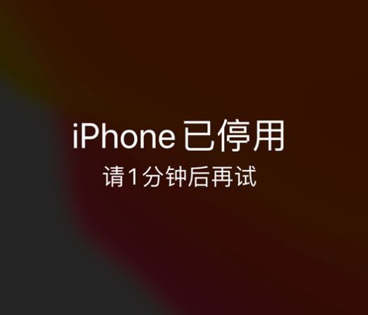 海珠苹果手机维修分享:iPhone 显示“不可用”或“已停用”怎么办？还能保留数据吗？ 