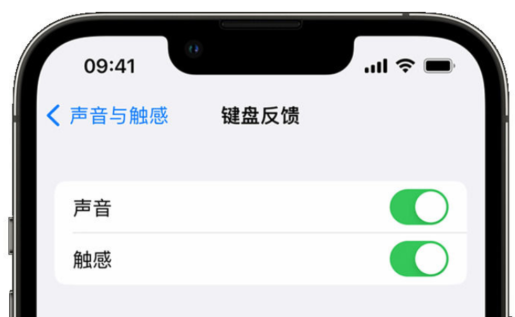 海珠苹果手机维修分享iPhone 14触感键盘使用方法 