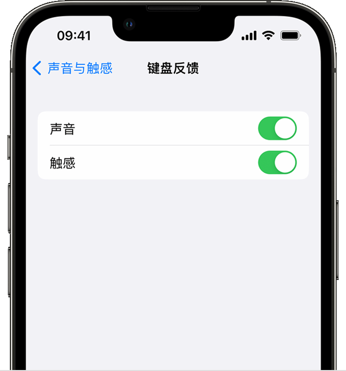 海珠苹果14维修店分享如何在 iPhone 14 机型中使用触感键盘 