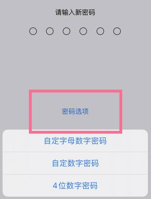 海珠苹果14维修分享iPhone 14plus设置密码的方法 