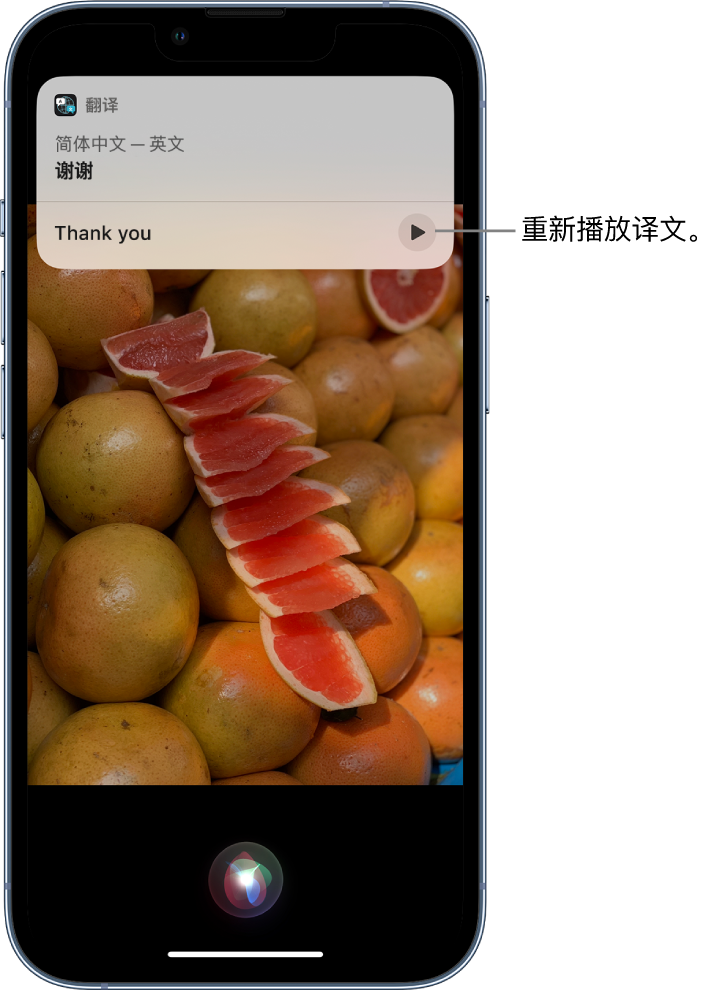 海珠苹果14维修分享 iPhone 14 机型中使用 Siri：了解 Siri 能帮你做什么 