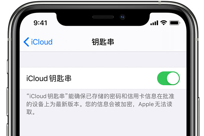 海珠苹果手机维修分享在 iPhone 上开启 iCloud 钥匙串之后会储存哪些信息 